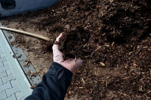 Condo Mulching in Houma