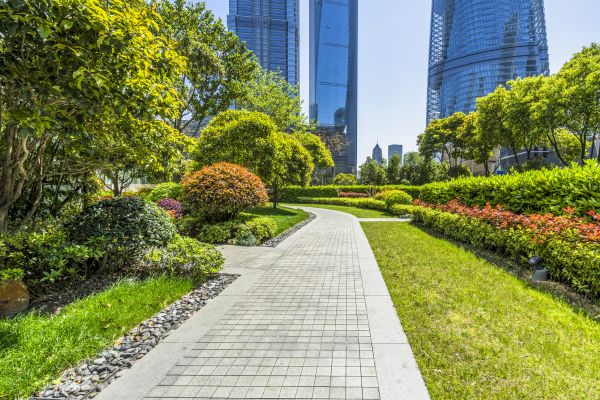 Commercial Landscaping in Houma